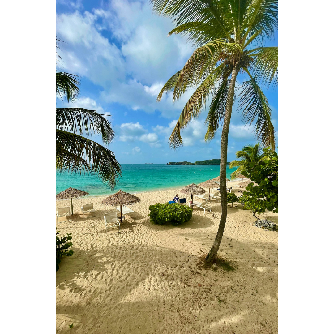A serene tropical beach with palm trees, white sand, turquoise ocean, and lounge chairs, creating a peaceful setting for relaxation, mindfulness, and rejuvenation.